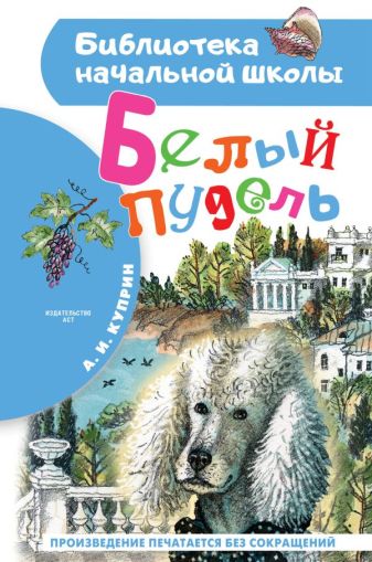 Белый пудель