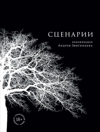 Сценарий кинофильмов Андрея Звягинцева